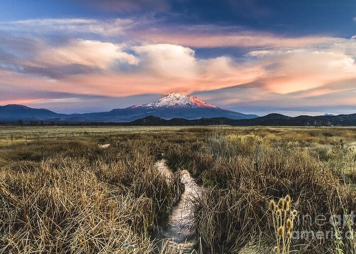  Greeting Card featuring the photograph Mt Shasta by Randy Wood