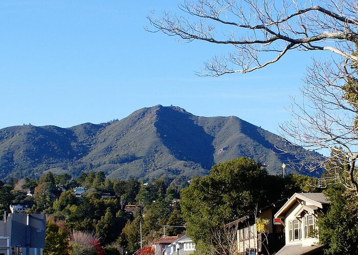 Mount Tamalpais Greeting Card featuring the photograph Mt Tamalpais View from Mill Valley by Ben Upham III