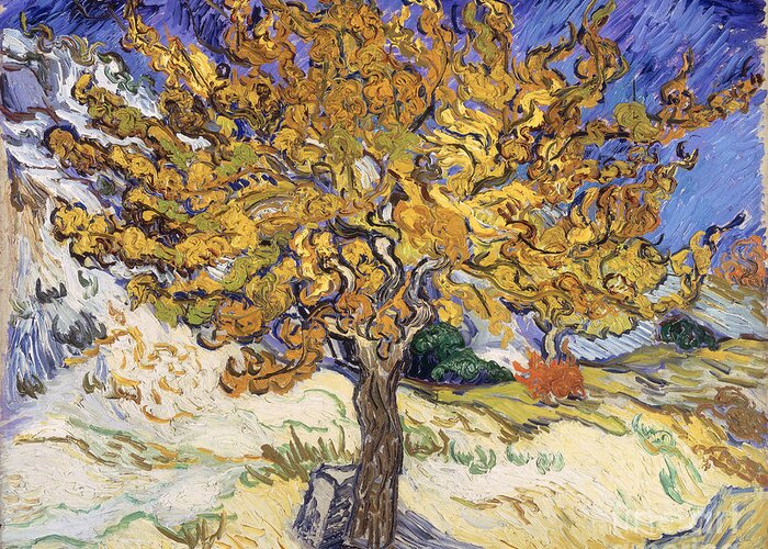 Mulberry Greeting Card featuring the painting Mulberry Tree by Vincent Van Gogh