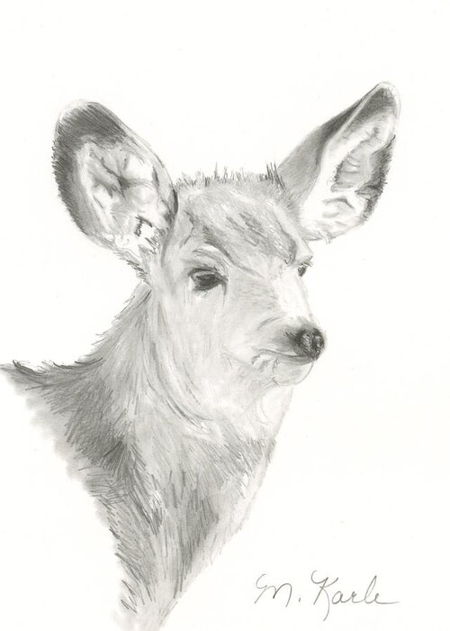 Deer Greeting Card featuring the drawing Mule Deer by Marsha Karle