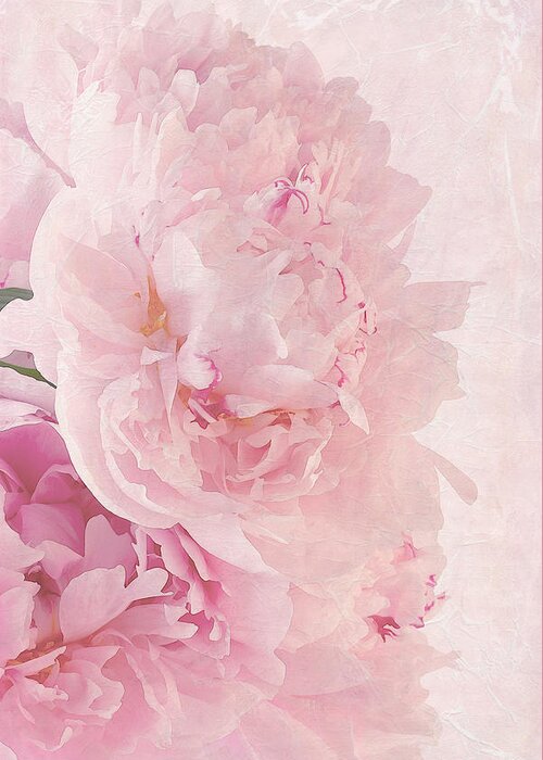 Paeonia Greeting Card featuring the photograph Artsy Pink Peonies by Sandra Foster