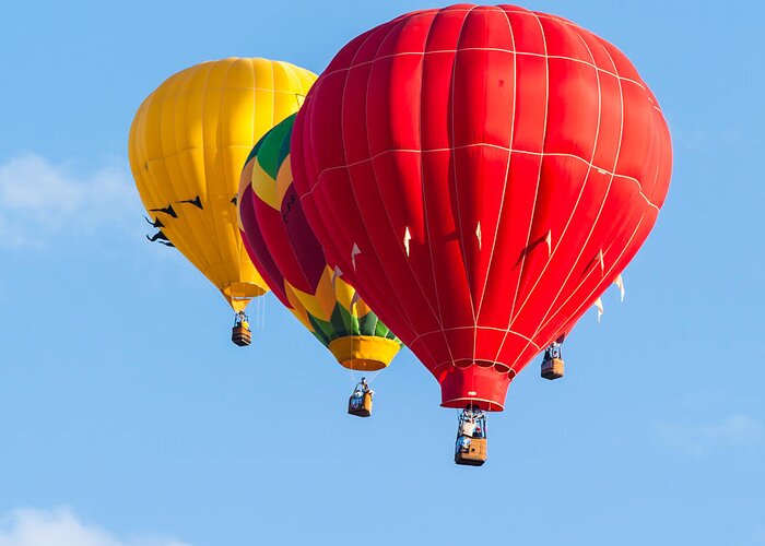  Hot Air Balloons Greeting Card featuring the photograph Multiple Hot air Balloons 5 by Charles McCleanon