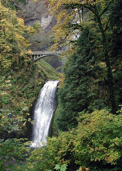 Multnomah Greeting Card featuring the photograph Multnomah Falls 3 by DArcy Evans