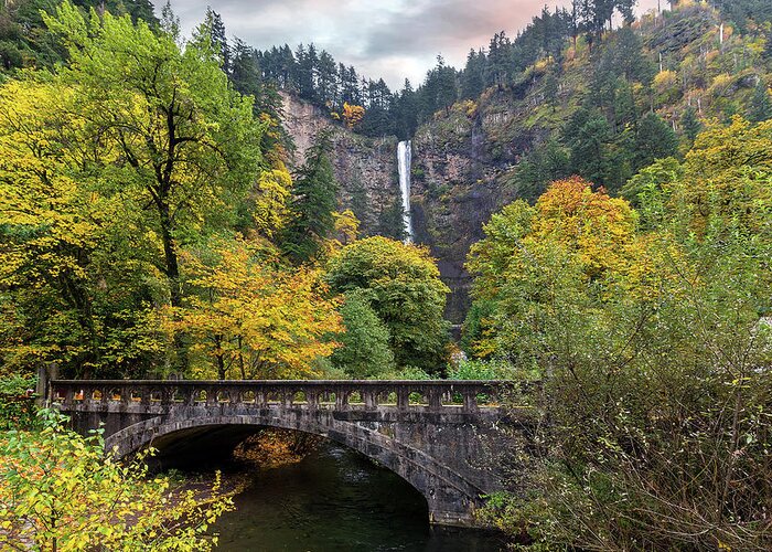 Multnomah Falls Greeting Card featuring the photograph Multnomah Falls along Old Columbia Highway by David Gn