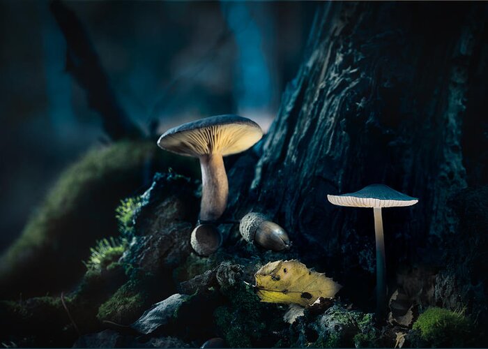 Beautiful Greeting Card featuring the photograph Mushroom lantern by Dirk Ercken