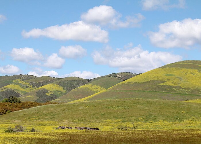 Nipomo Greeting Card featuring the photograph Mustard on Nipomo Hills by Art Block Collections