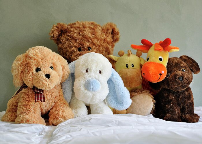 Stuffed Animals Greeting Card featuring the photograph My Best Friends by Luke Moore