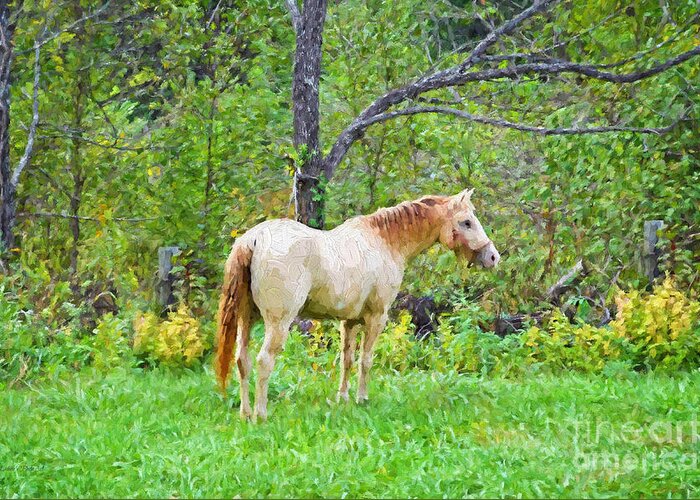 Nature Greeting Card featuring the photograph My Horse Cody - Digital Paint by Debbie Portwood