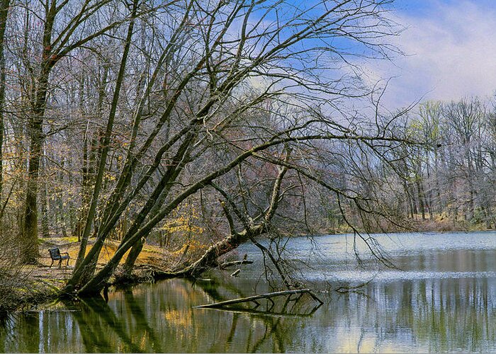 Pond Greeting Card featuring the photograph My Quiet Place by John Rivera