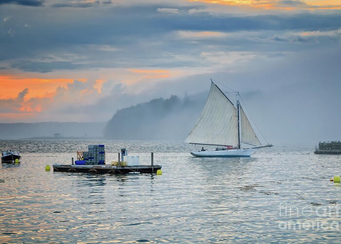 Bar Harbor Maine Greeting Card featuring the photograph My Special Place by Elizabeth Dow