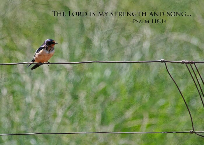 Nature Greeting Card featuring the photograph My Strength by Bonnie Bruno