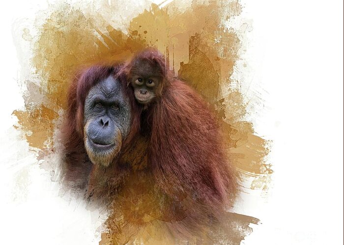 Orangutan Greeting Card featuring the photograph Myself and Mom by Eva Lechner