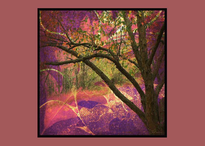 Trees Greeting Card featuring the photograph Mystic Forest by Peggy Dietz