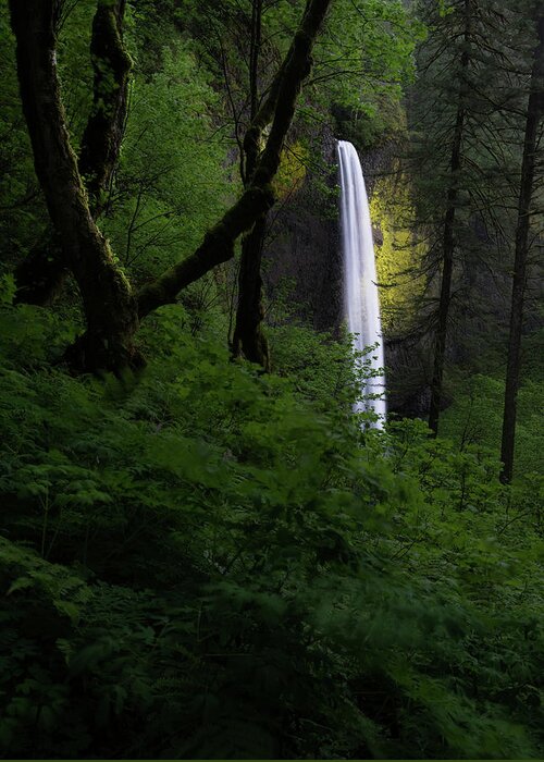 National Park Greeting Card featuring the photograph Mystical Waterfall 2 by Larry Marshall