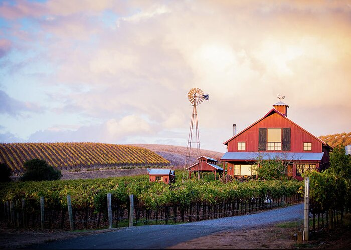 Red Barn Greeting Card featuring the photograph Napa Valley Red Barn by Aileen Savage
