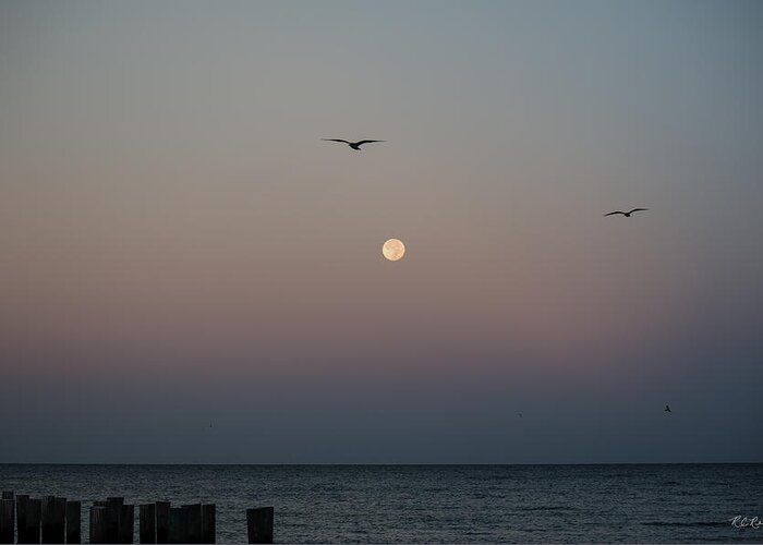 Florida Greeting Card featuring the photograph Naples Florida - Full Moon Setting over the Gulf by Ronald Reid