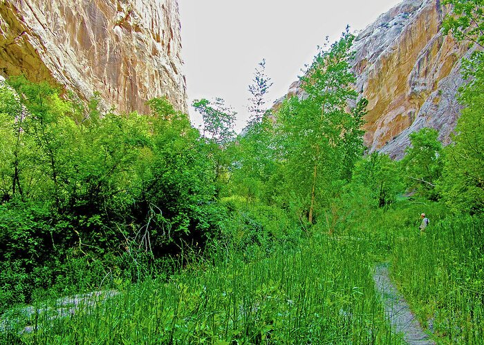 Narrows On Hog Canyon Trail On Tour Of The Tilted Rocks In Dinosaur National Monument Greeting Card featuring the photograph Narrows on Hog Canyon Trail on Tour of the Tilted Rocks in Dinosaur National Monument, Utah by Ruth Hager