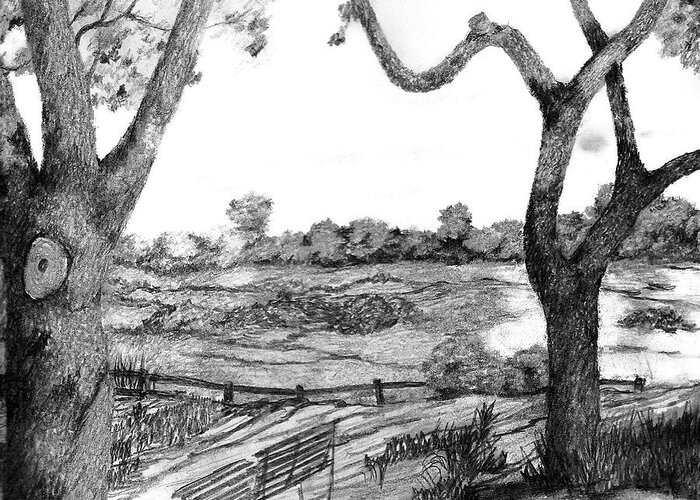 Trees Greeting Card featuring the drawing Nature sketch by John Stuart Webbstock