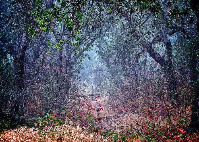 Nature Greeting Card featuring the photograph Nature's Chaos, Arroyo Grande, California by Zayne Diamond Photographic