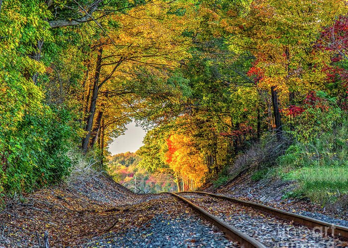 Train Greeting Card featuring the photograph Nature's Tunnel by Rod Best