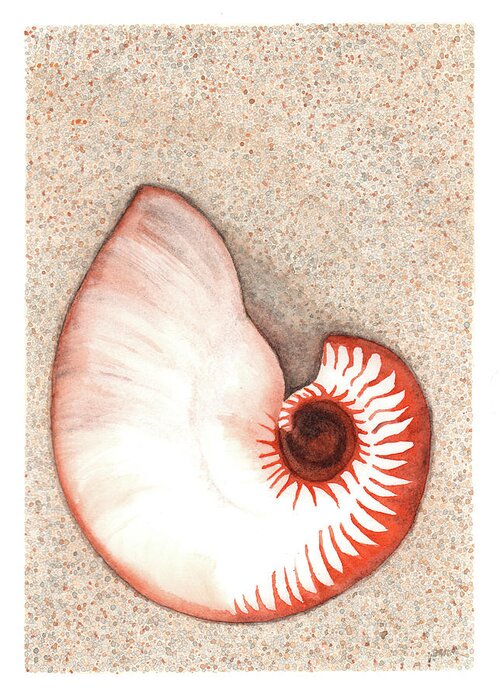 Nautilus Greeting Card featuring the painting Nautilus Shell by Hilda Wagner