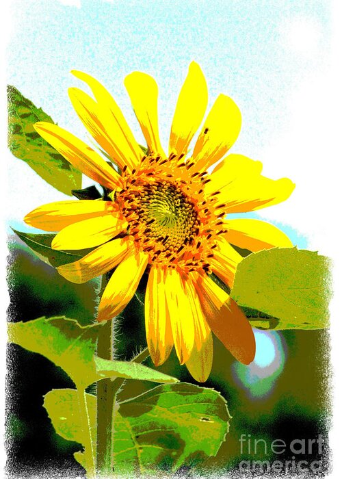 Sunflowers Greeting Card featuring the photograph Need to Be Seen by Lori Mellen-Pagliaro