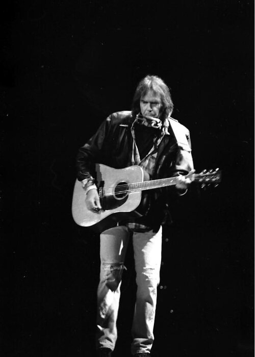 Neil Young Greeting Card featuring the photograph Neil Young by Wayne Doyle