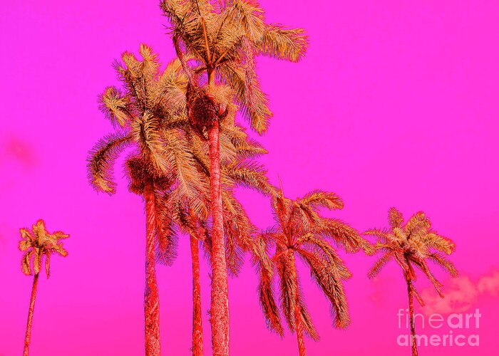 Pop Art Greeting Card featuring the photograph Neon Tropics by Onedayoneimage Photography