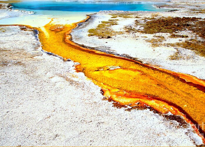 Yellowstone Greeting Card featuring the photograph Neon Yellow Stream by Adam Jewell