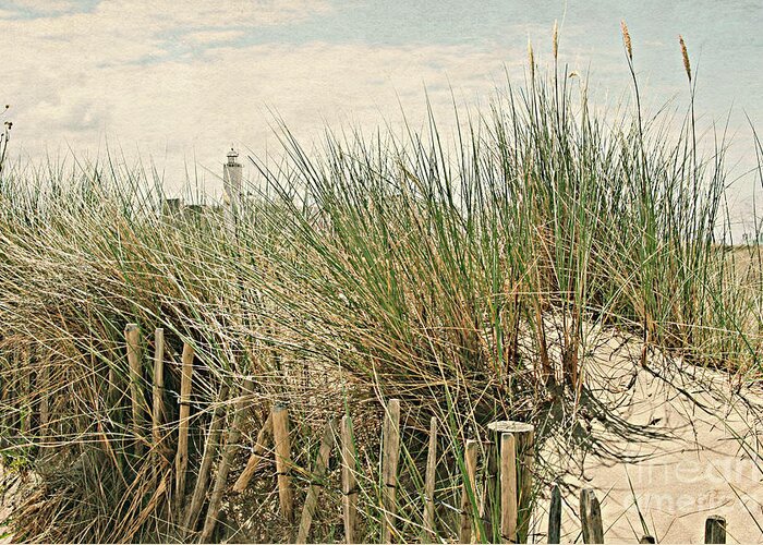 Gabriele Pomykaj Greeting Card featuring the photograph Netherlands - Dunes and Lighthouse by Gabriele Pomykaj