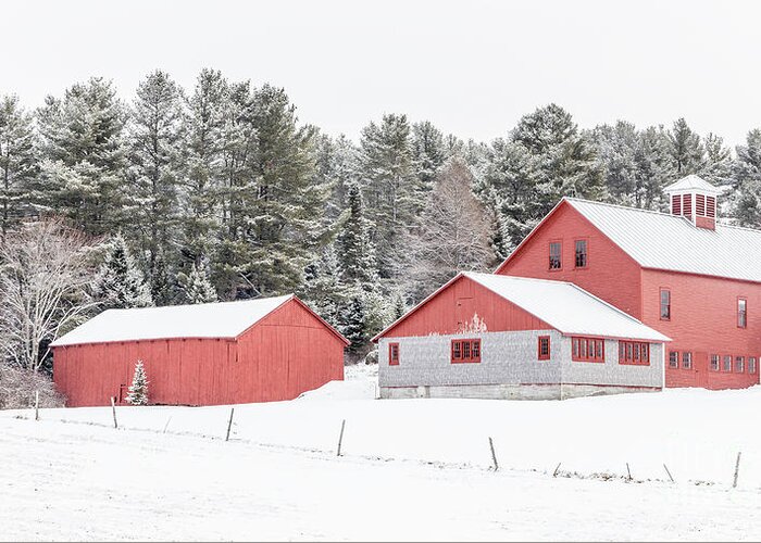New Hamphire Greeting Card featuring the photograph New England Farm with Red Barns in winter by Edward Fielding
