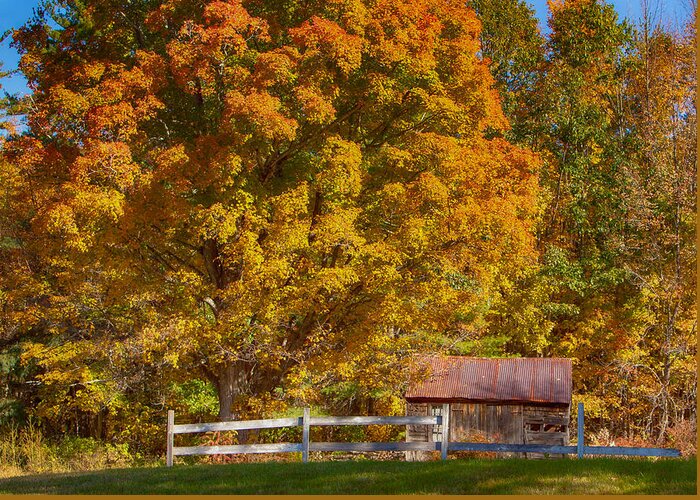 Autumn Greeting Card featuring the photograph New hampshire barn under fall foliage by Jeff Folger