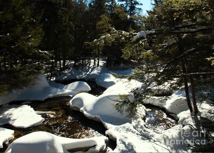 Brook Greeting Card featuring the photograph New Hampshire Brook by Mim White