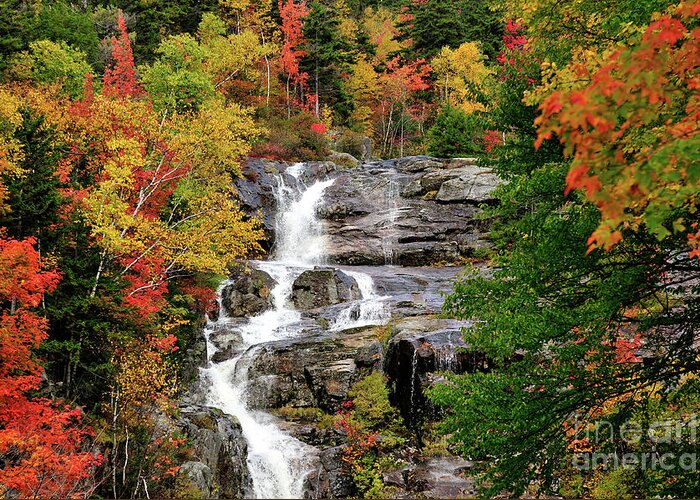 Waterfall Greeting Card featuring the photograph New Hampshire Waterfall by Betty LaRue