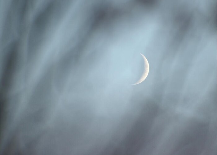 Crescent Moon Greeting Card featuring the photograph New - by Julie Weber