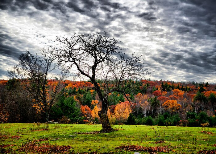 Autumn Greeting Card featuring the photograph NH Autumn Afternoon by Edward Myers