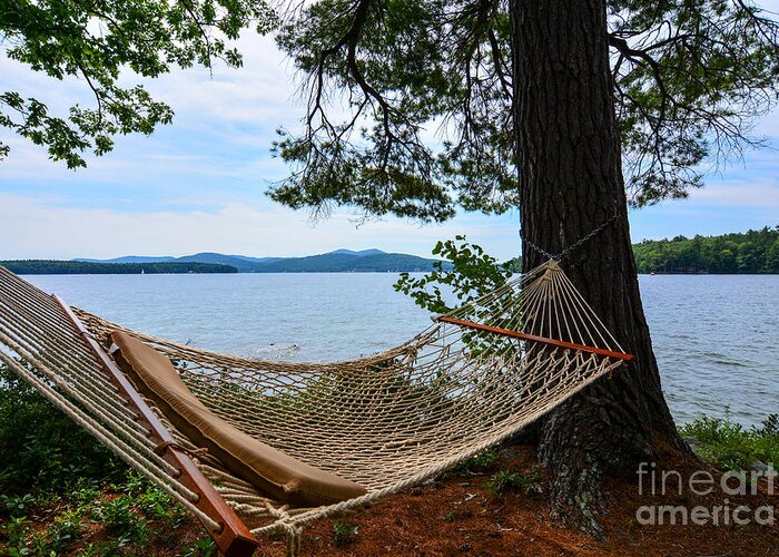Lake Greeting Card featuring the photograph Nice Spot for a Nap by Mim White