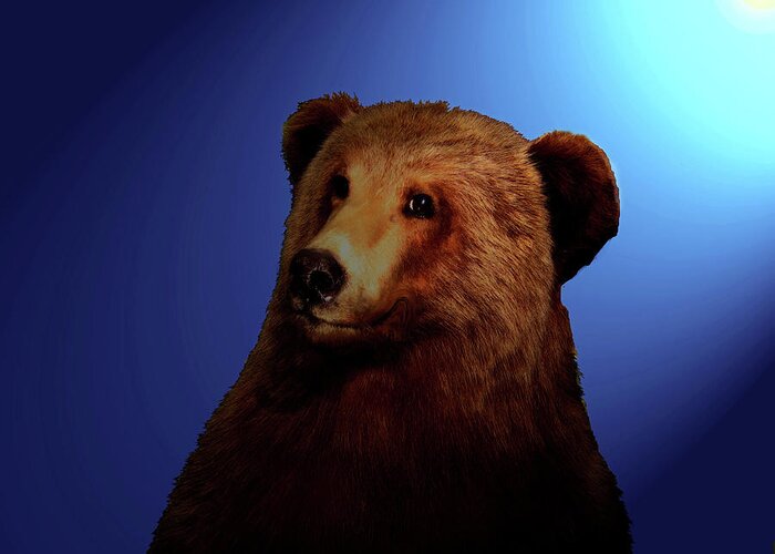 Bear Greeting Card featuring the digital art Night Bear by Timothy Bulone