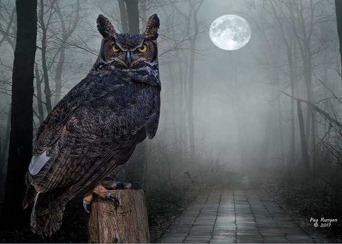 Owl Greeting Card featuring the photograph Night Sentinel by Peg Runyan
