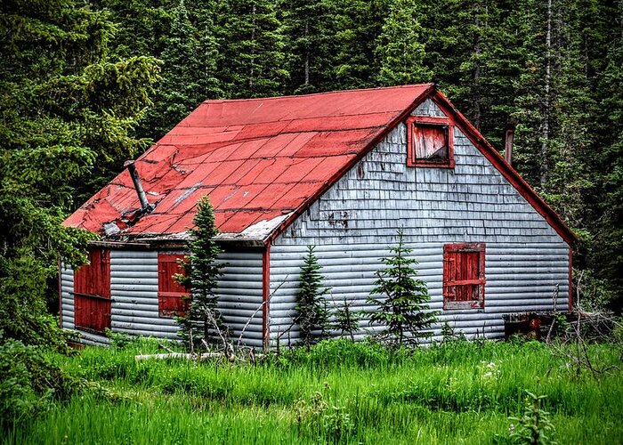 Cabin Greeting Card featuring the photograph No Ones Home by Michael Brungardt