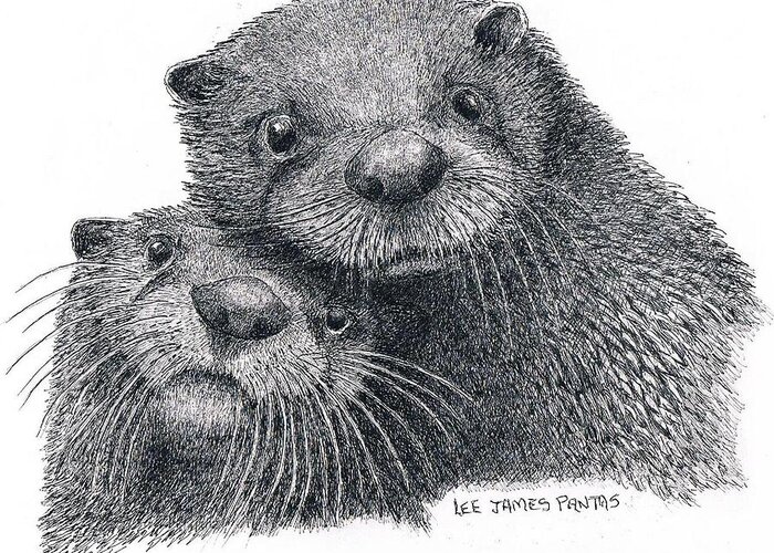 Otter Greeting Card featuring the drawing North American River Otters by Lee Pantas