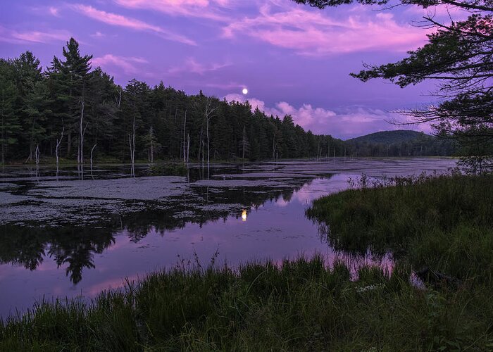 Marlboro Greeting Card featuring the photograph North Pond Blue Moon by Tom Singleton