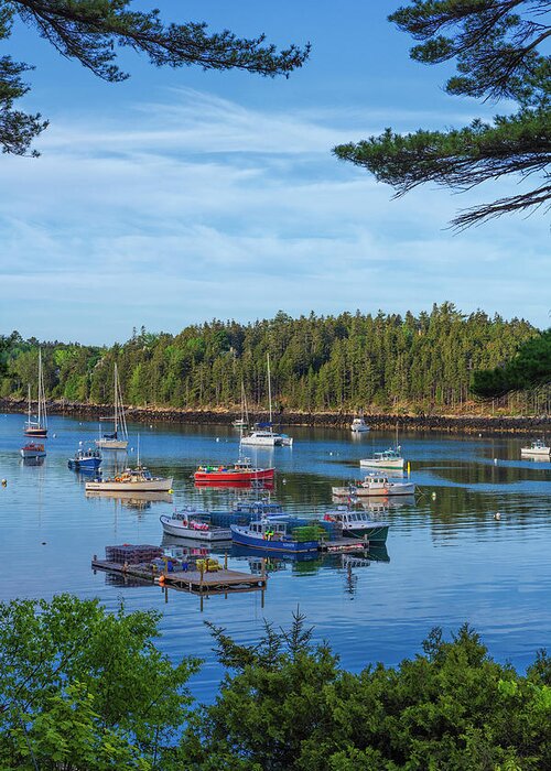 Maine Greeting Card featuring the photograph Northeast Harbor #2 by Dennis Kowalewski