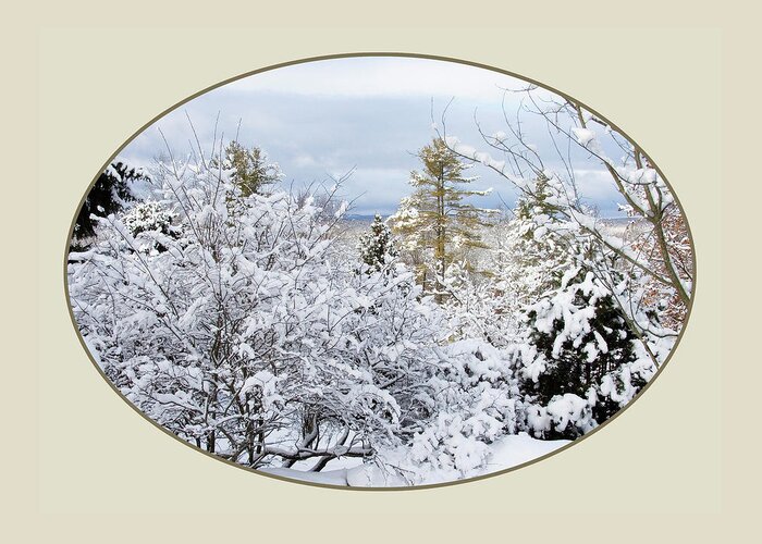 Gallery Button Greeting Card featuring the digital art northeast USA photography button by Lise Winne