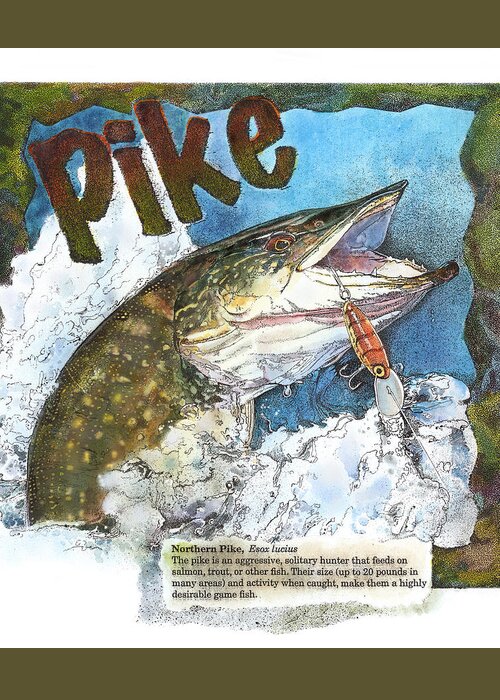 Fish Greeting Card featuring the painting Northerrn Pike by John Dyess