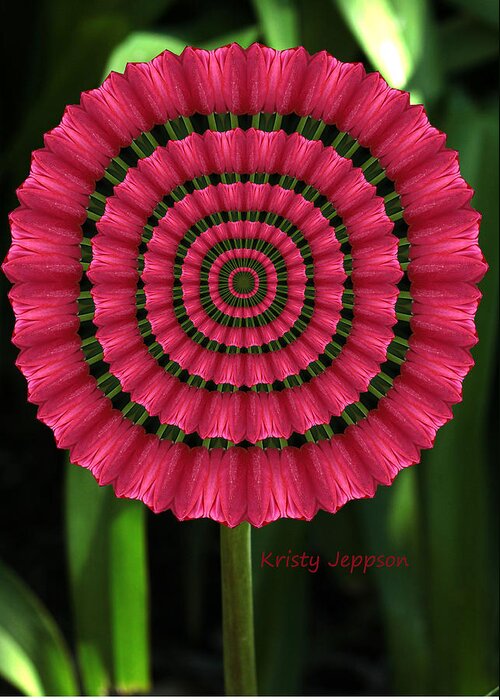 Tulip Greeting Card featuring the photograph Tulip K2 by Kristy Jeppson