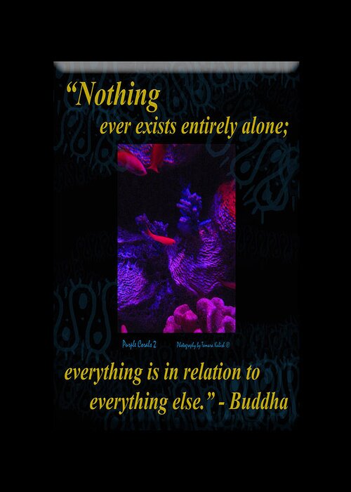 Aquarium Greeting Card featuring the photograph Nothing Ever Exists Entirely Alone Everything Is In Relation To Everything Else by Tamara Kulish