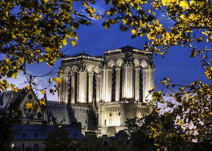 Notre Dame Greeting Card featuring the photograph Notre Dame at Night Paris by Sally Ross