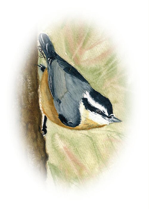 Nuthatch Greeting Card featuring the painting Nuthatch Down by Elise Boam