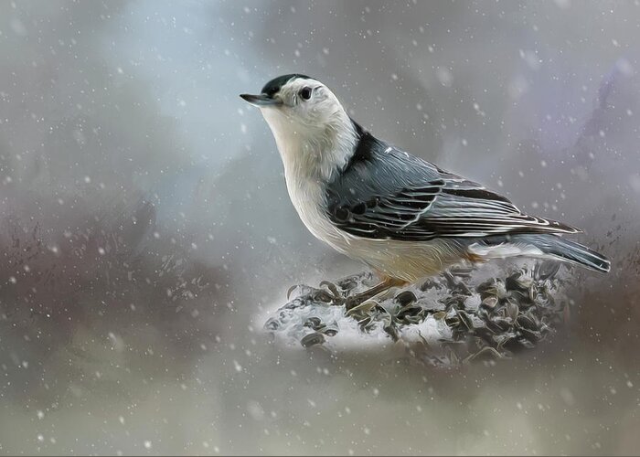 Bird Greeting Card featuring the photograph Nuthatch in Winter by Cathy Kovarik